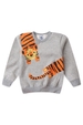 Conjunto Infantil Masculino Tigre de Inverno