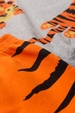 Conjunto Infantil Masculino Tigre de Inverno