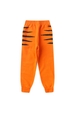 Conjunto Infantil Masculino Tigre de Inverno