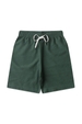 Conjunto Masculino Infantil Surfe Jurássico