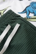 Conjunto Masculino Infantil Surfe Jurássico