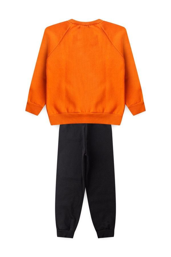 Conjunto Infantil Masculino Pequeno Leãozinho