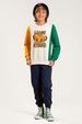 Conjunto Masculino Infantil Lion King
