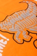 Conjunto Masculino Infantil Roar Some
