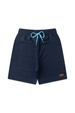 Conjunto Masculino Infantil Blue Tiger