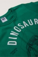 Conjunto Infantil Masculino Explorar Os Dinossauros