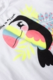 Conjunto Infantil Feminino Cores de Tucano
