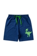 Pijama Infantil Masculino Rugindo Alto