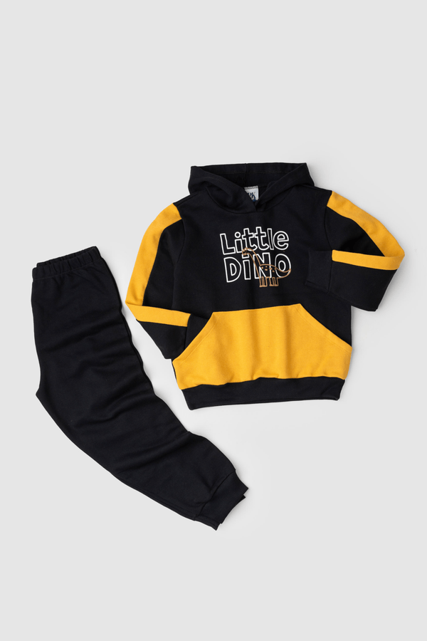 Conjunto Infantil Masculino Bebê Dino