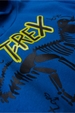 Conjunto Masculino Infantil Especialista em T-Rex