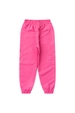 Conjunto Infantil Feminino Asas de Glitter