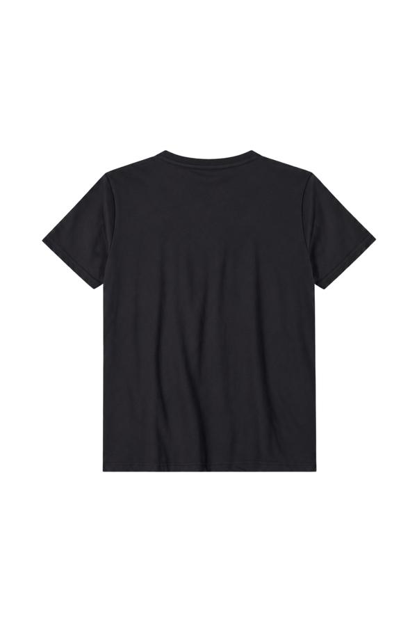 Camiseta Masculina Adulto Tradicional