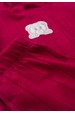 Conjunto Blusa Manga Longa Ursinho e Calça - Bordô - Ame Kids