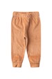Conjunto Casaco  Manga Longa e  Calça Plush - Cobre - Ame Kids