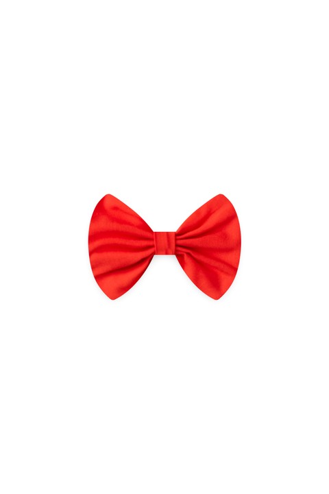 Presilha de Cabelo - Vermelho - Ame Kids