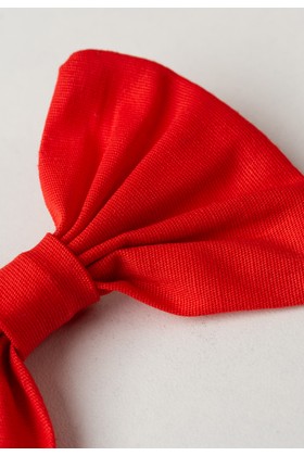 Presilha de Cabelo - Vermelho - Ame Kids