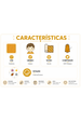 Conjunto Infantil Bebê Blusa e Calça Bouclé Quadriculado - Mostarda - Ame Kids