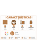 Conjunto Infantil Bebê Body Canelado Menina - Caramelo - Ame Kids