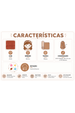 Conjunto Infantil Bebê Body Canelado Menina - Avelã - Ame Kids