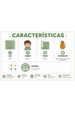 Conjunto Infantil Bebê Body e Calça Canelado - Xadrez Verde - Ame Kids