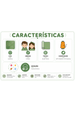 Conjunto Blusa Manga Longa e Calça Brush - Verde - Ame Kids
