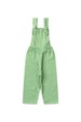 Conjunto Infantil Jardineira Longa e Blusa Ml -Verde- Ame Kids