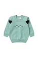 Conjunto Blusa Manga Longa e Calça de Moleton com Aplique Interativo - Verdinho - Ame Kids