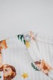 Conjunto Body Canelado Menino - Lion - Ame Kids