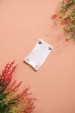 Extensor de Body - Off-White - Ame Kids