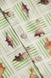 Conjunto Blusa e Bermuda - Dinossauro Verde - Randa Mundu