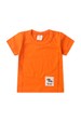 Conjunto de Blusa e Shorts Meia Malha Menino - Laranja - Ame Kids