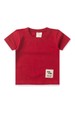 Conjunto de Blusa e Shorts Meia Malha Menino - Vermelho - Ame Kids