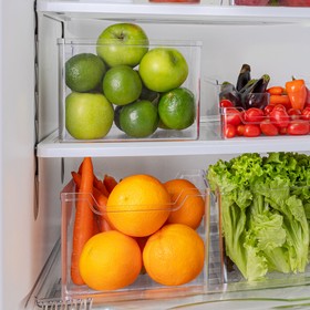 Organizador 20cm X 20cm Transparente Uz Utilidades