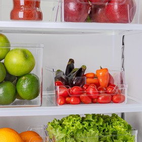 Organizador com Divisórias Transparente Uz Utilidades