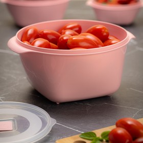 Pote Multiuso Premium 2 Litros Rosa Uz Utilidades