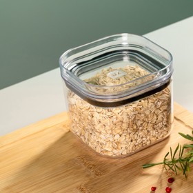 Organizador Hermético 450ml com Tampa Transparente