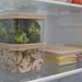 Conjunto 6 Organizadores Geladeira/Despensa Cappuccino Uz
