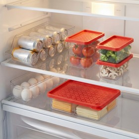 Conjunto 6 Organizadores Geladeira/Despensa Vermelho Uz